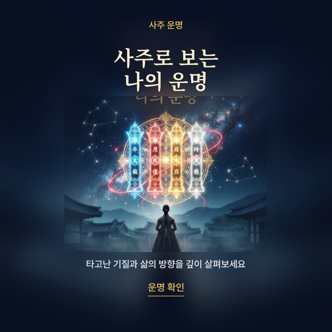 사주로 보는 나의 운명 카드