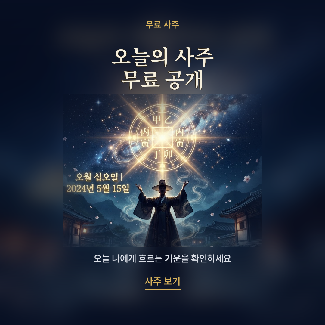 오늘의 사주 무료 공개 카드